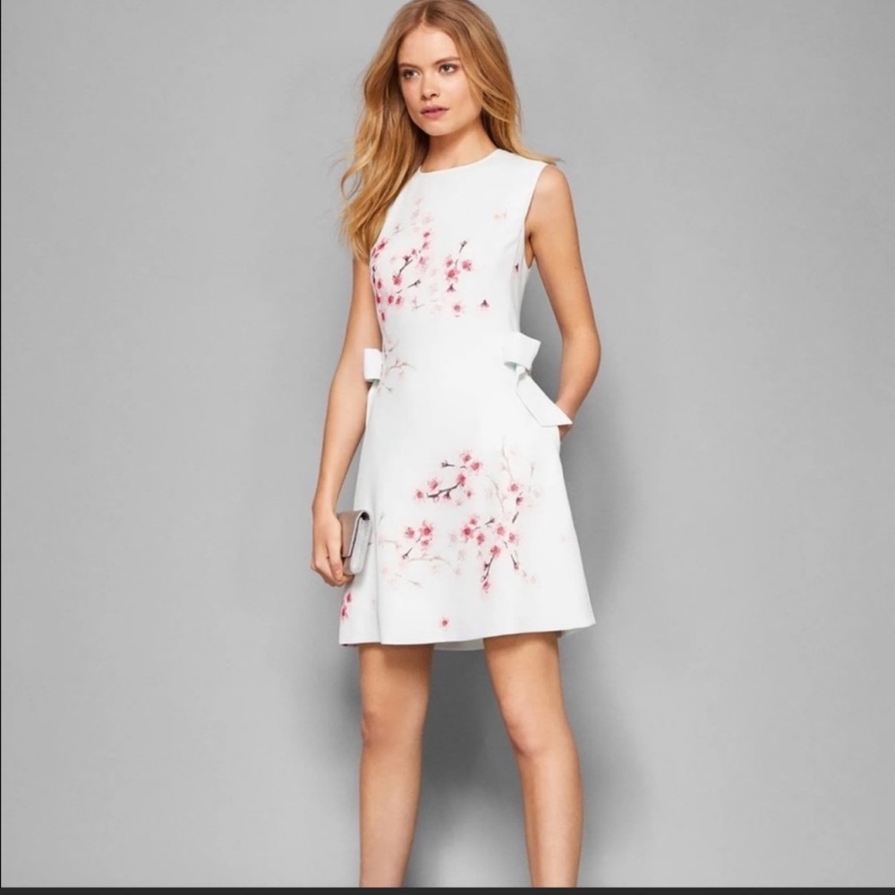 Ted baker pastel light green dress with floral design NWT
